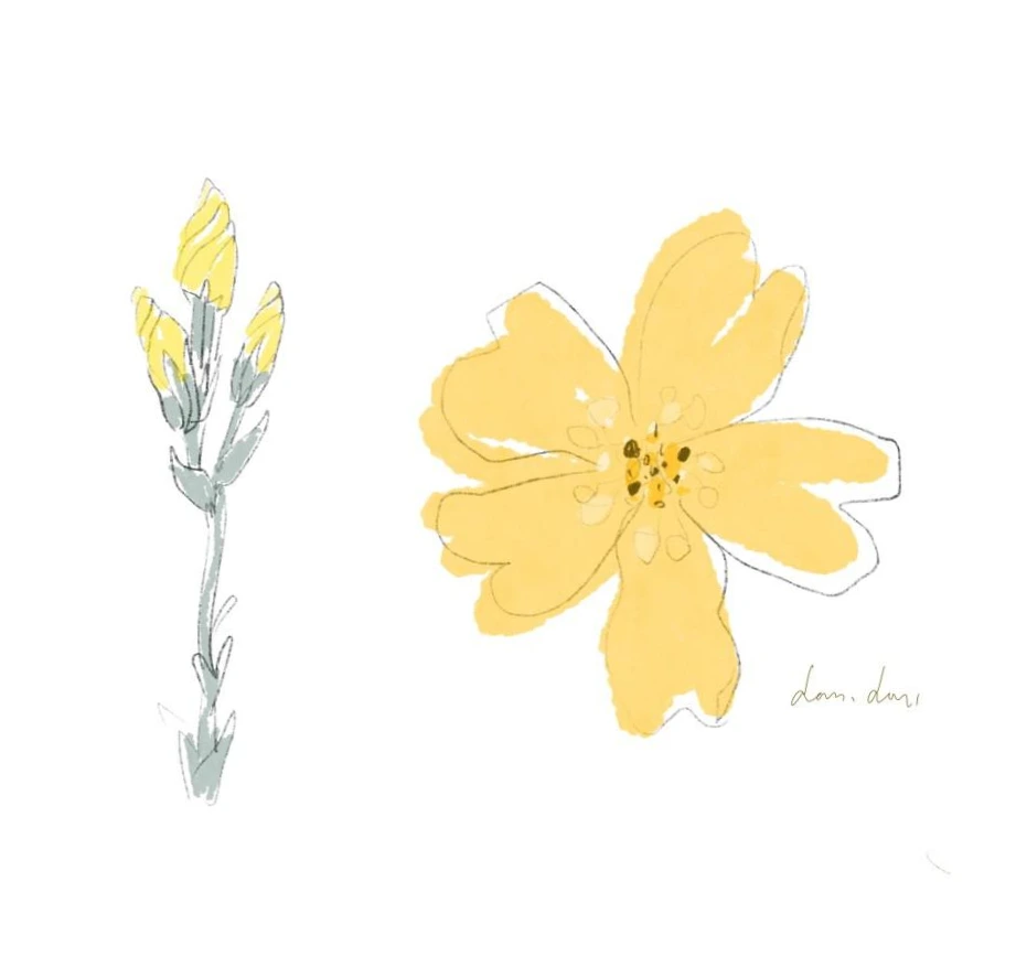 SE-23e0fa49-0258-4ea5-993f-eae2fbc562ff.jpg?type=w966