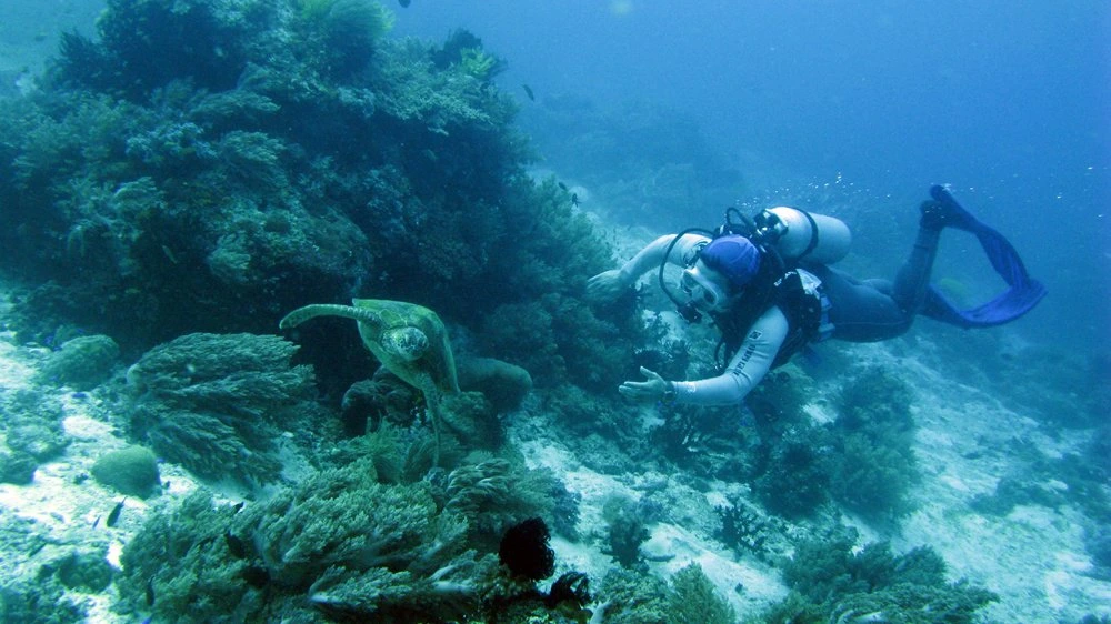 fom7JzHq6a-sOyuxsnqBIKZEvBcXLvstTszMADtWhJZyGc7qlI5CXb8QQDuX0IoHFq9fD98IzwdkcmCkjqd_ExWGQi7otAal7TwLoc9qkDi4dRd7GjCoE672D2ZTzf4yqJ7f-LDC