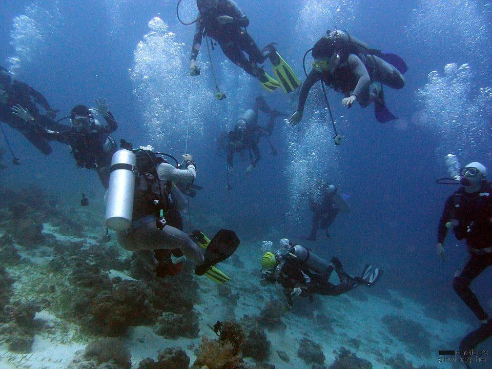 -z_17MYt_PV00SzauIR2HlwQ2PIhXidWB3dvDO-4vdUFxbAVDwuTC7pY9hhrE6LgbQMu4JonQBL3ciQVKnzrHcdKoeXK8PVvV1Zu3X7jLWIR3ea54c6auD7C6JMryI4IEWzCphXP