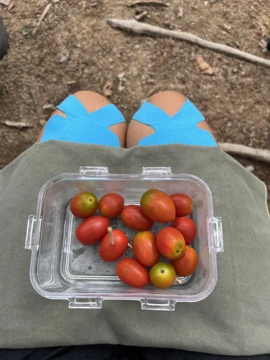 IMG_3472.jpeg?type=w386