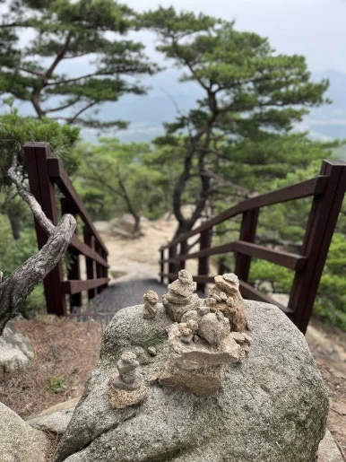 IMG_3476.jpeg?type=w386