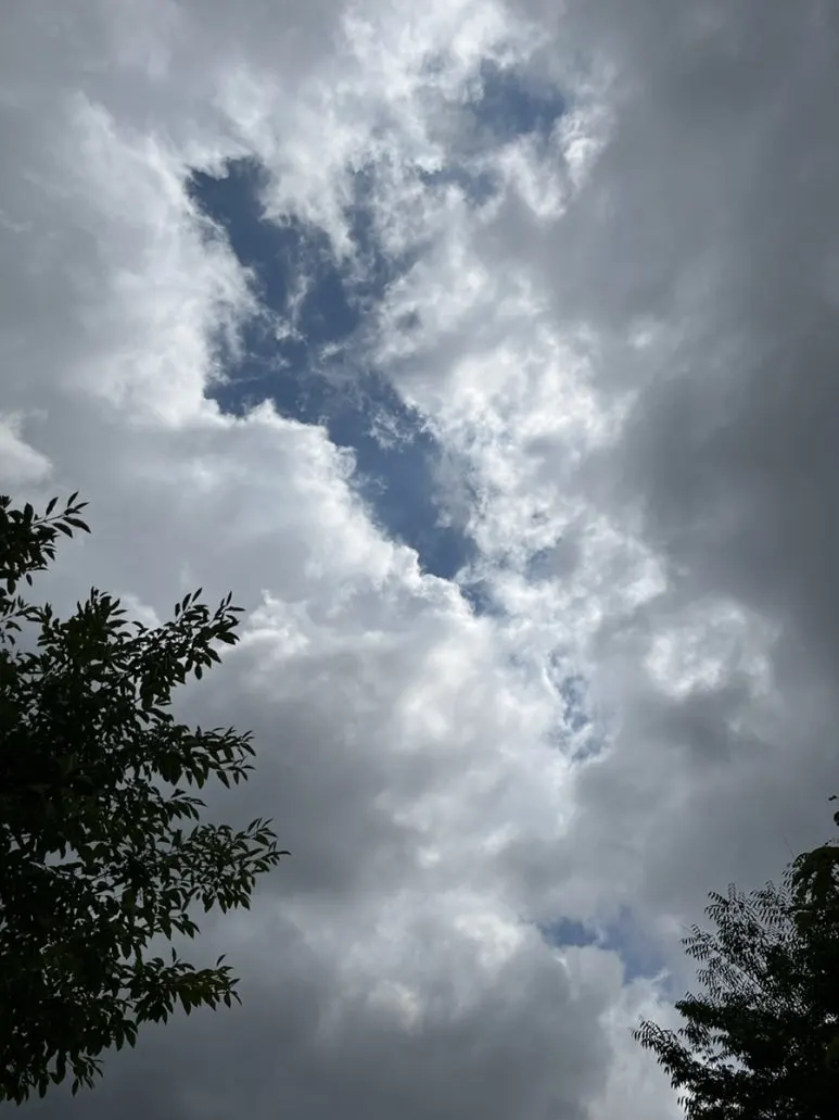 IMG_3411.JPG?type=w773