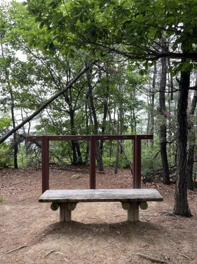 IMG_3469.jpeg?type=w386