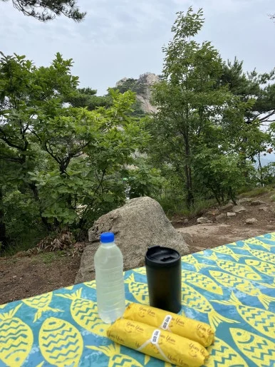 IMG_3543.jpeg?type=w386