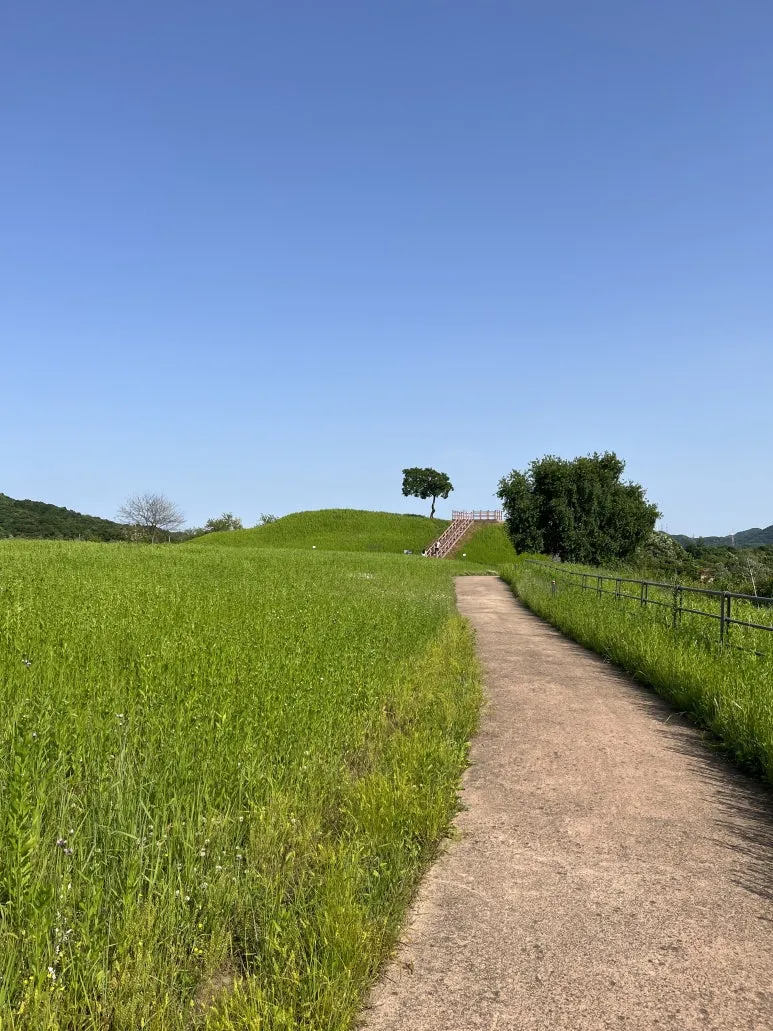 IMG_1827.jpeg?type=w773