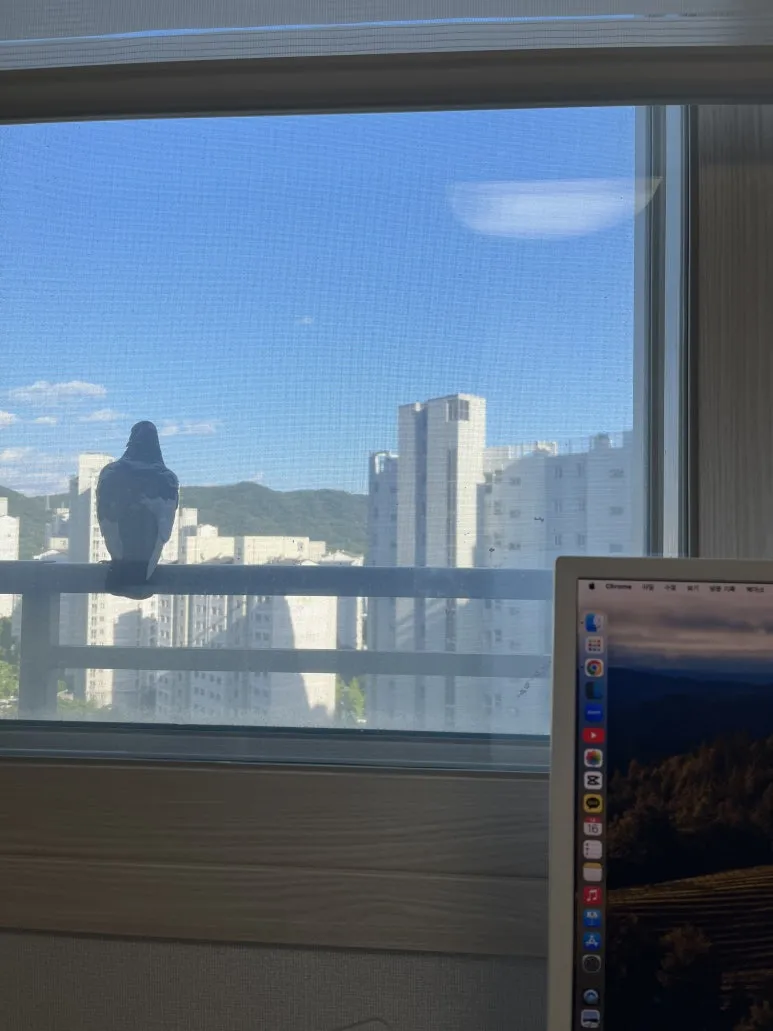 IMG_1454.jpeg?type=w773