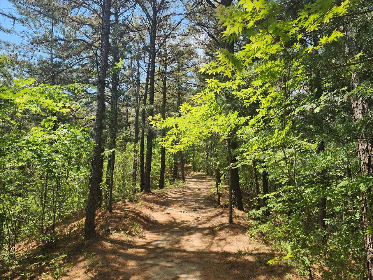 KakaoTalk_Photo_2025-06-11-14-10-42 004.jpeg