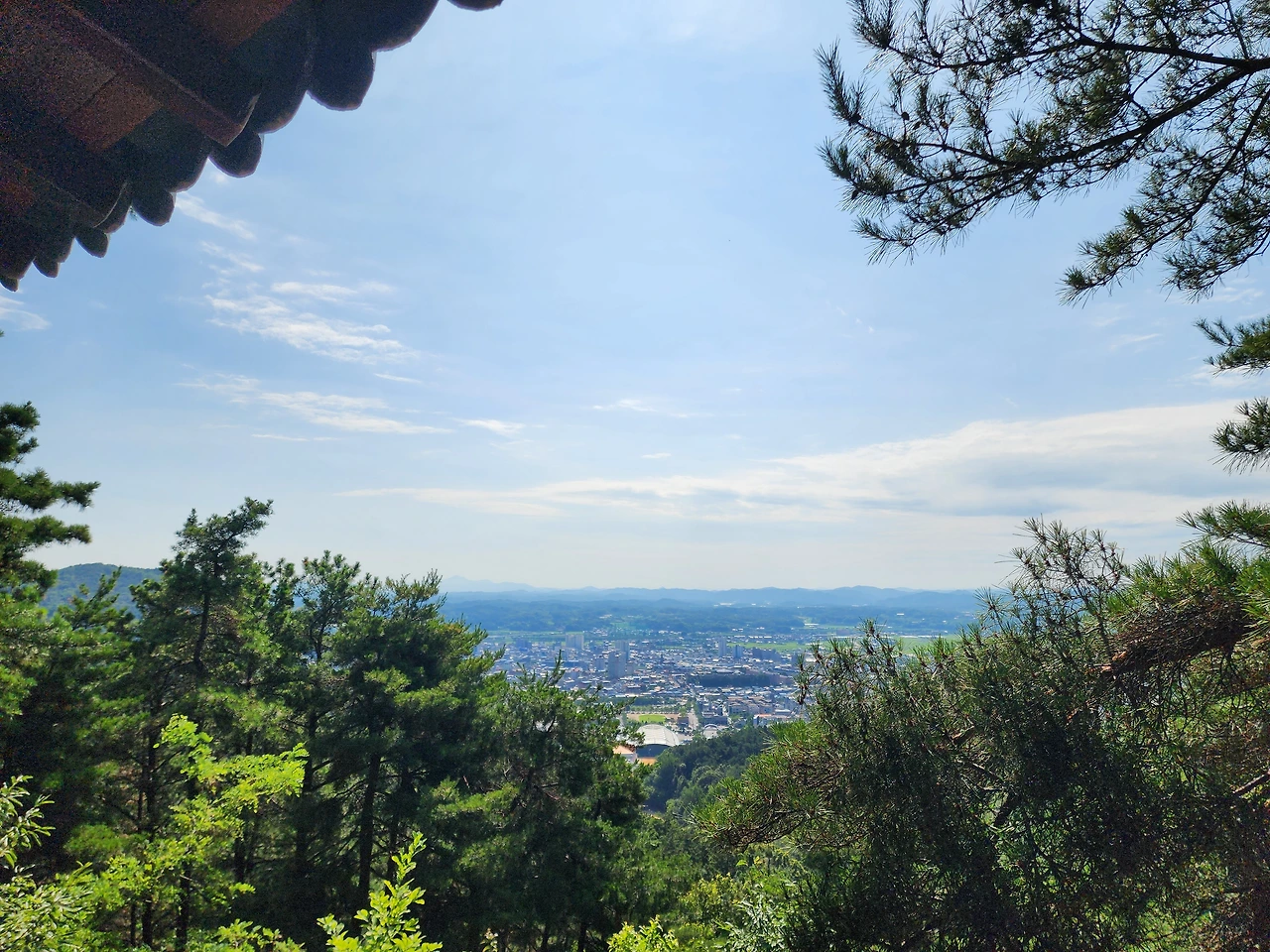 KakaoTalk_Photo_2025-07-10-12-17-04 004.jpeg