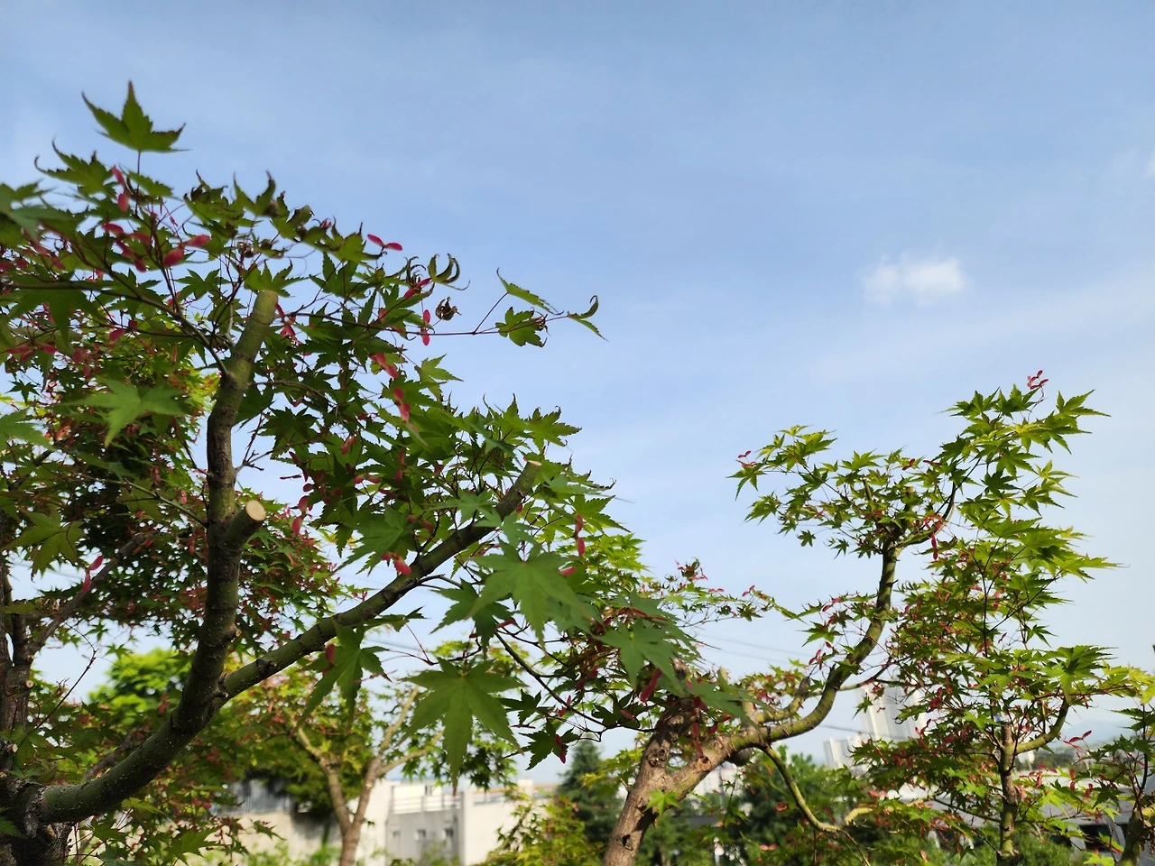 KakaoTalk_Photo_2025-05-09-21-52-41 001.jpeg