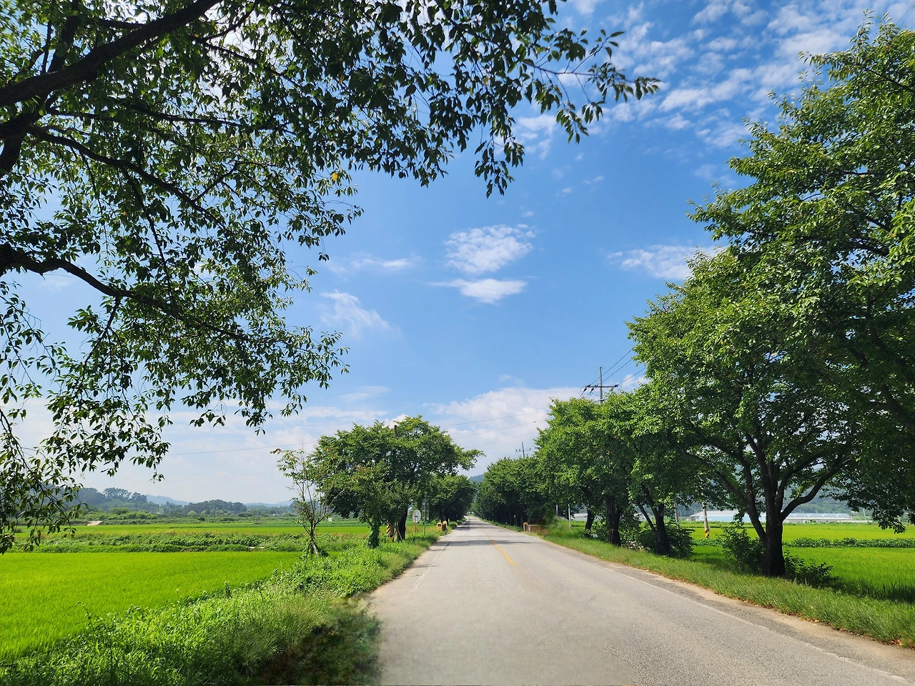 KakaoTalk_Photo_2025-08-18-18-41-24 005.jpeg