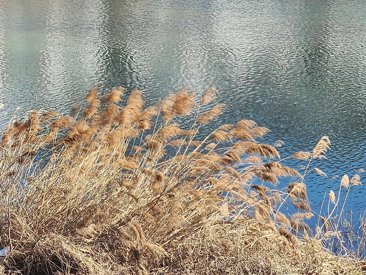 KakaoTalk_Photo_2026-01-13-15-56-14 001.jpeg