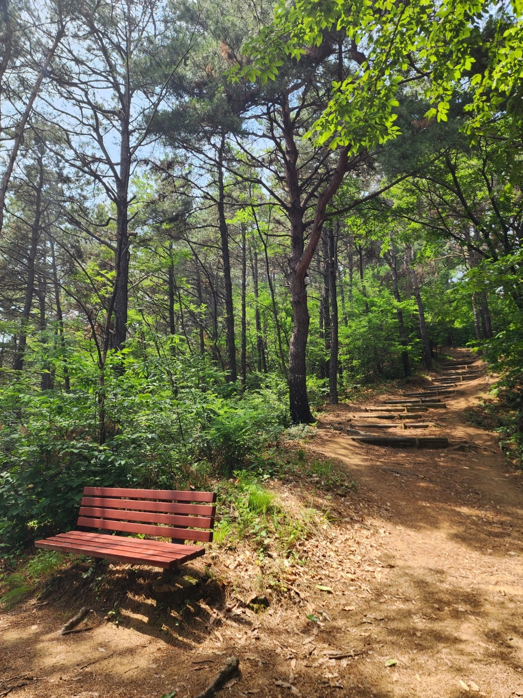 KakaoTalk_Photo_2025-06-20-16-07-42 002.jpeg