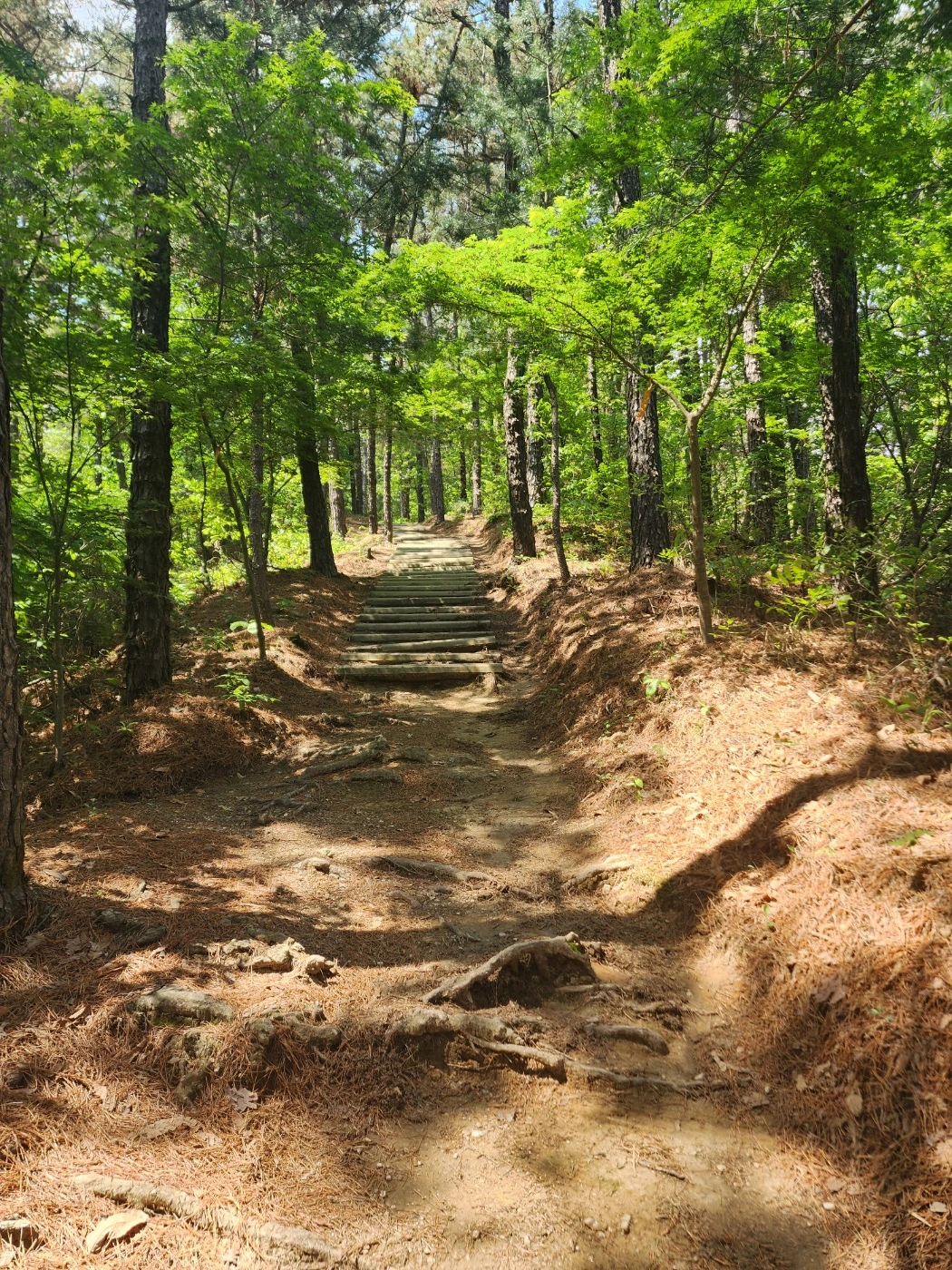 KakaoTalk_Photo_2025-06-11-14-10-42 005.jpeg