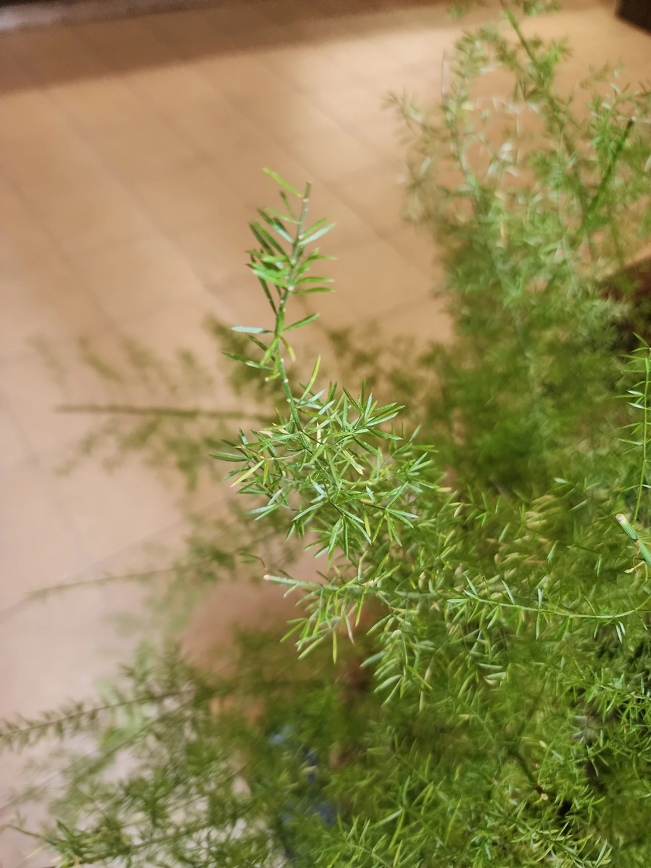 KakaoTalk_Photo_2026-01-20-12-12-43 001.jpeg