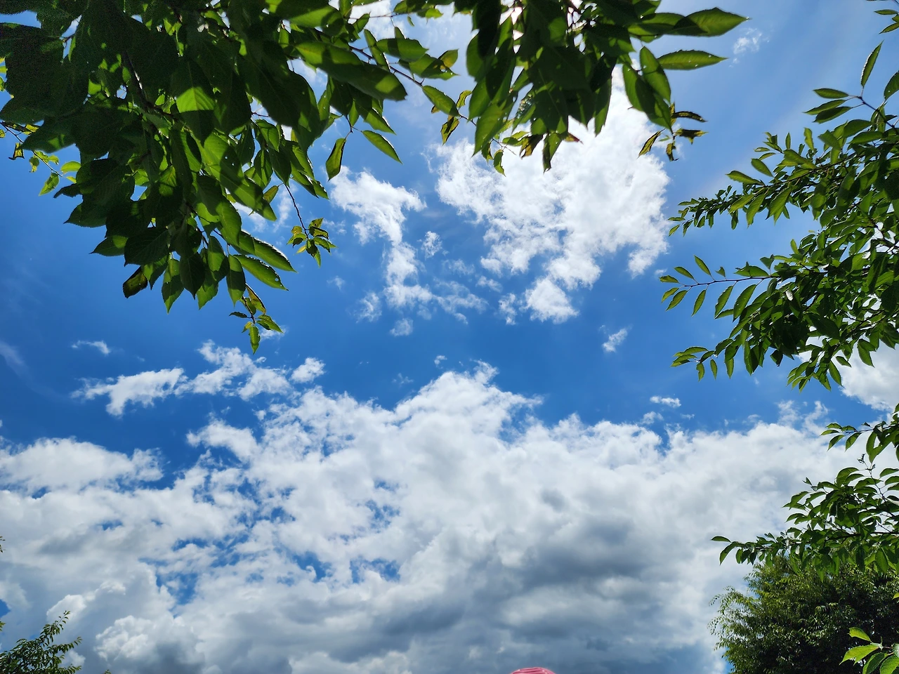 KakaoTalk_Photo_2025-07-22-14-32-15 002.jpeg