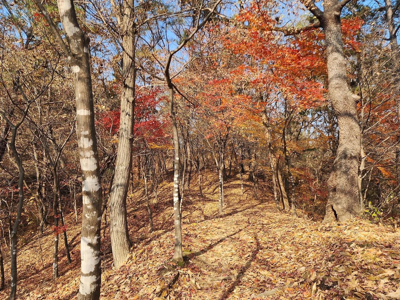 KakaoTalk_Photo_2025-12-02-14-22-42 005.jpeg