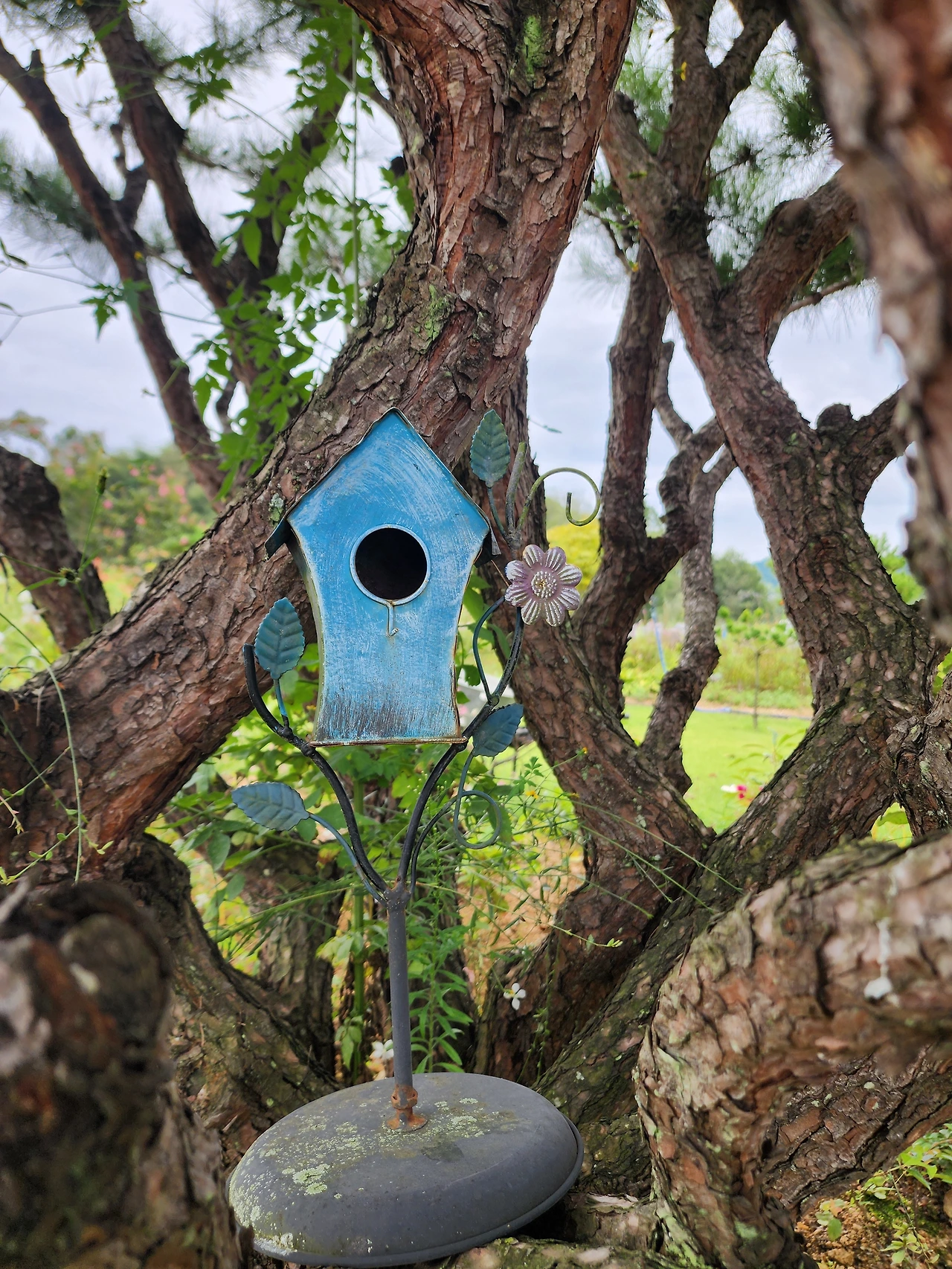 KakaoTalk_Photo_2025-09-19-14-51-35 005.jpeg