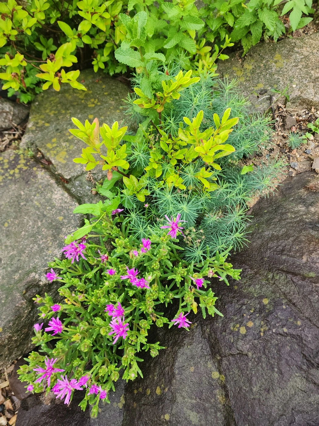 KakaoTalk_Photo_2025-06-26-10-16-12 001.jpeg