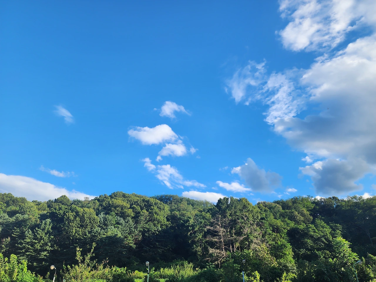 KakaoTalk_Photo_2025-08-15-15-11-07 004.jpeg