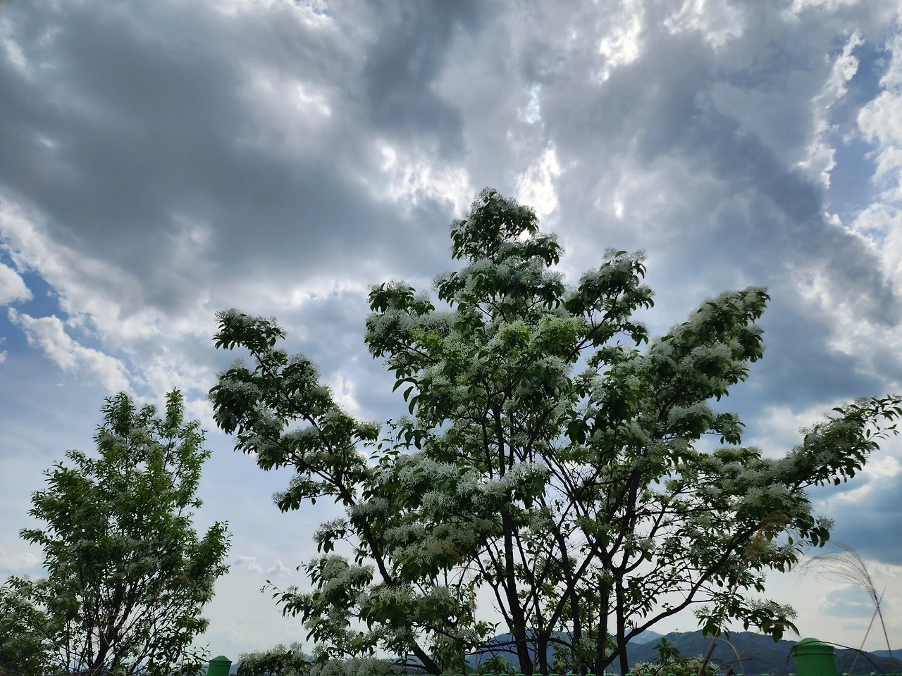 KakaoTalk_Photo_2025-05-09-21-52-42 002.jpeg