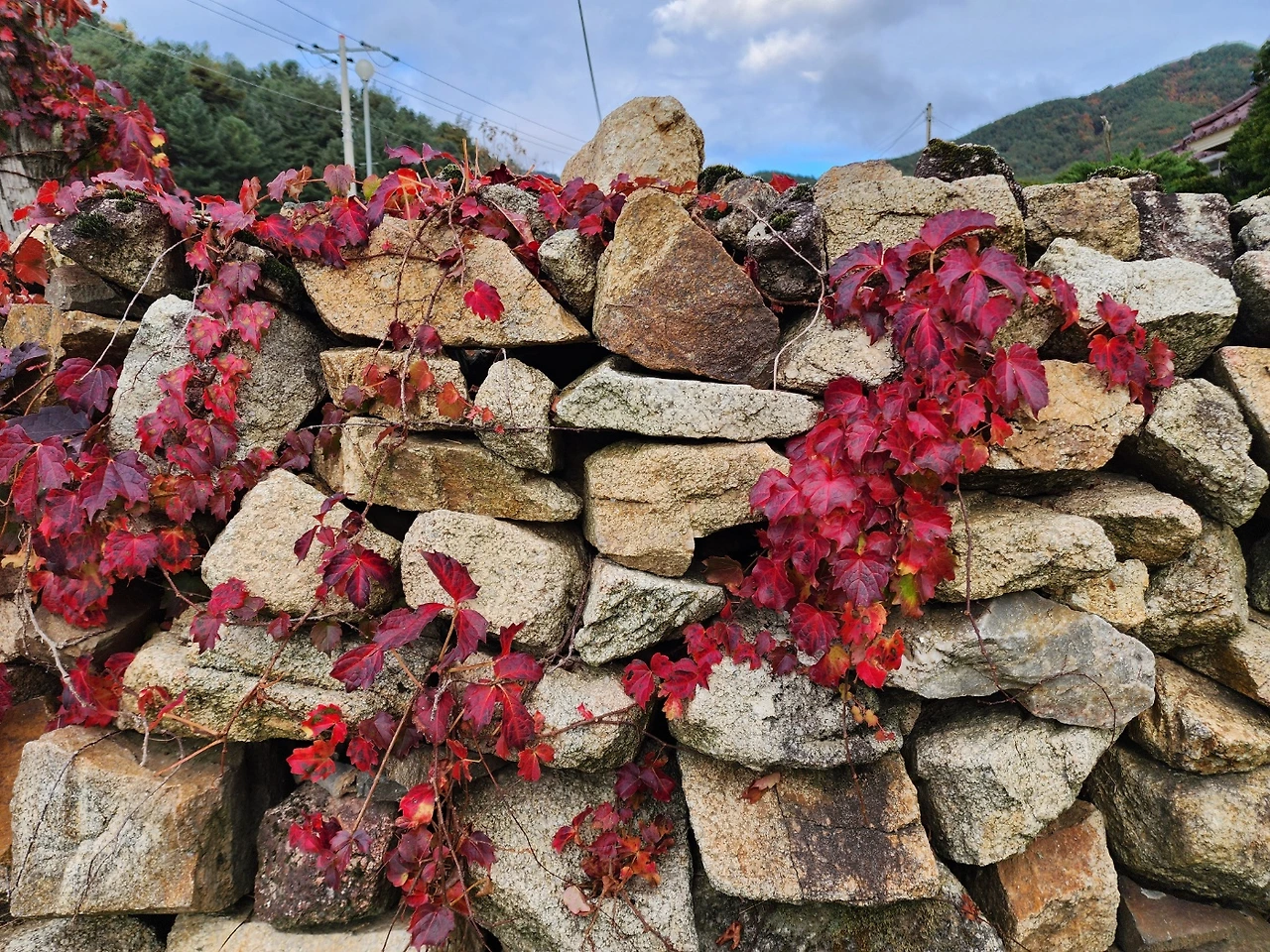 KakaoTalk_Photo_2025-09-24-13-48-29 014.jpeg