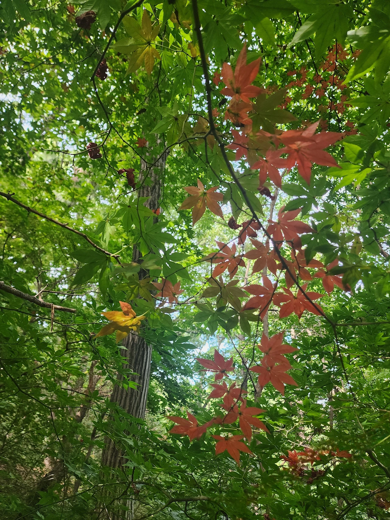 KakaoTalk_Photo_2025-09-26-12-17-54 001.jpeg