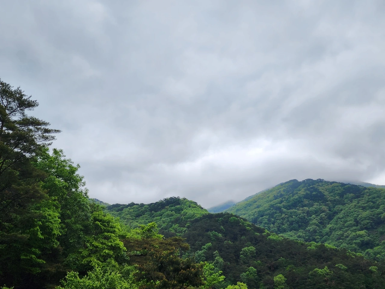 KakaoTalk_Photo_2025-05-10-23-40-59 001.jpeg