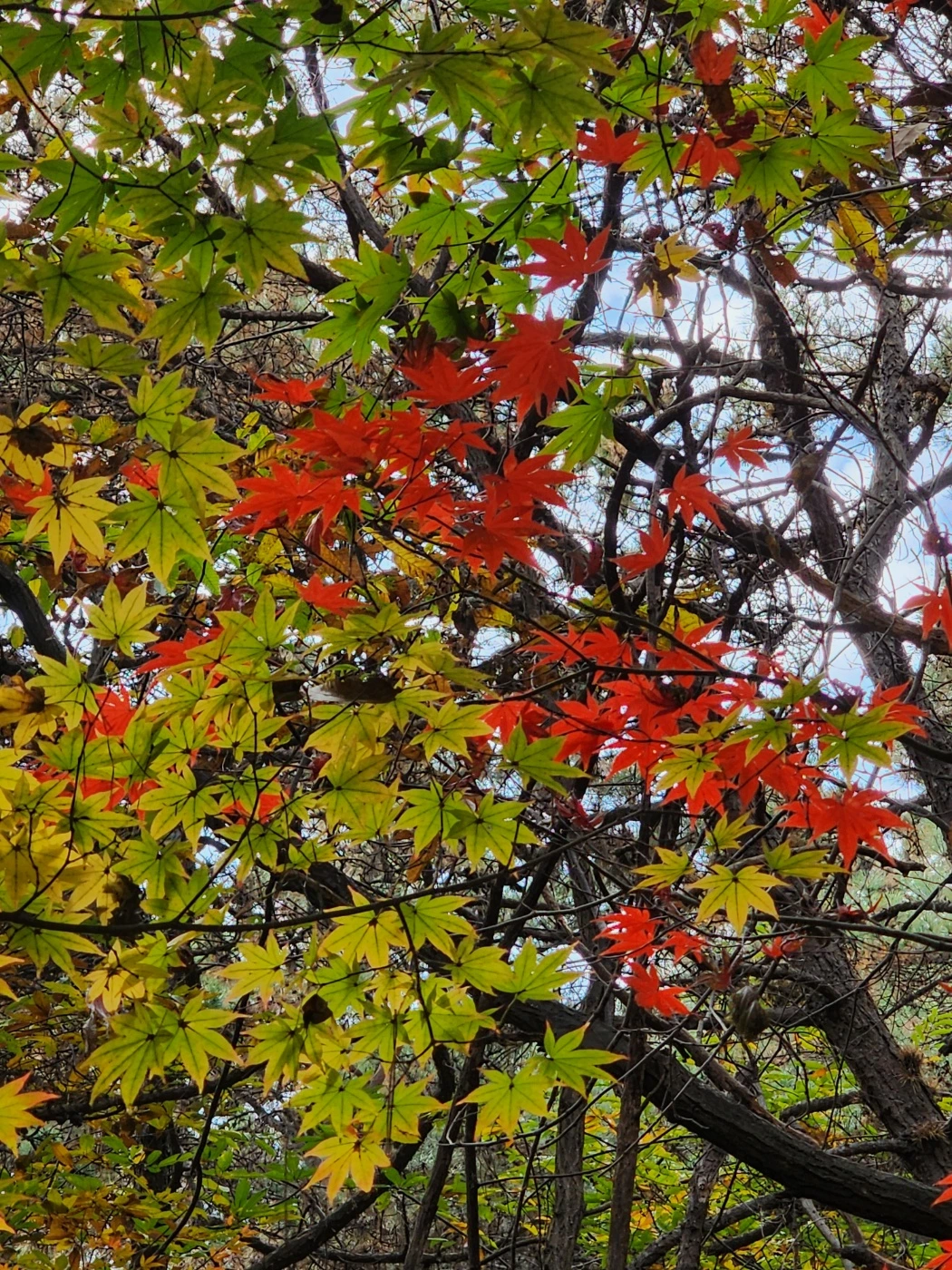 KakaoTalk_Photo_2025-05-10-23-41-02 003.jpeg