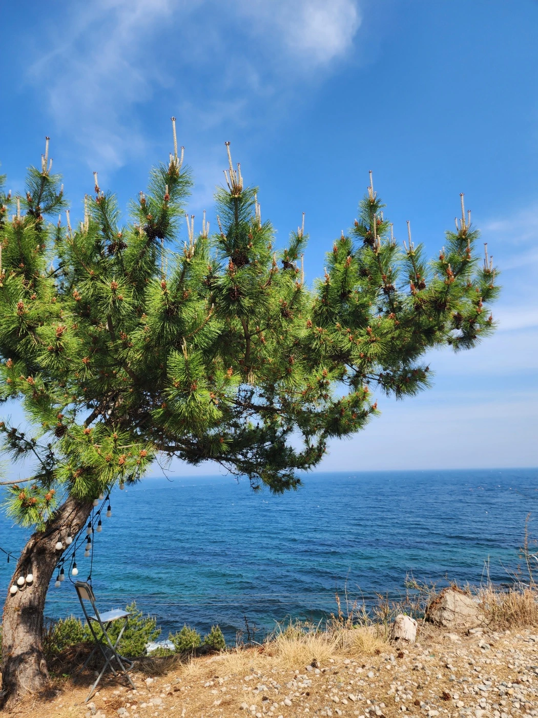 KakaoTalk_Photo_2025-07-02-16-05-19 002.jpeg