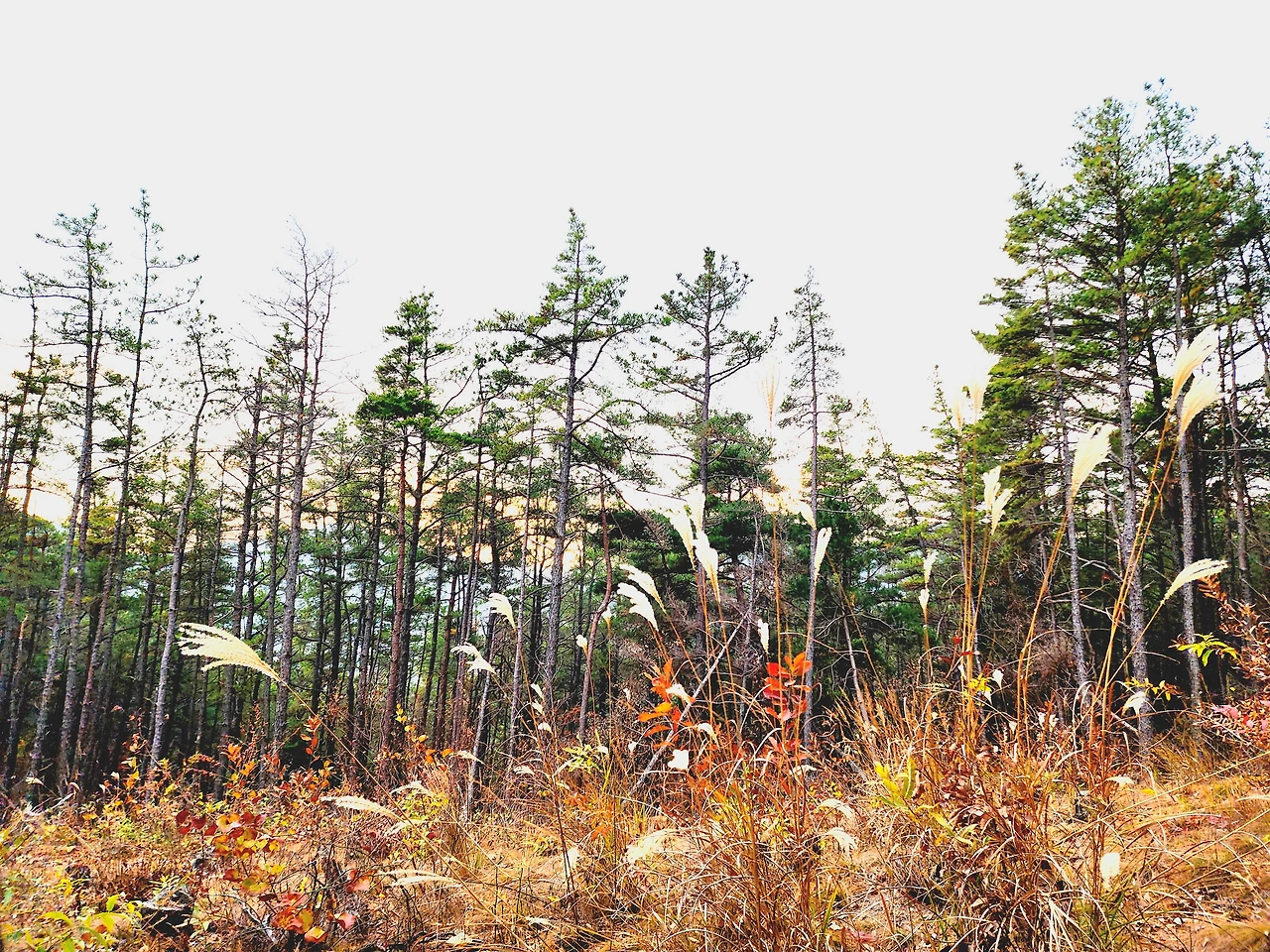 KakaoTalk_Photo_2025-09-26-12-17-55 006.jpeg