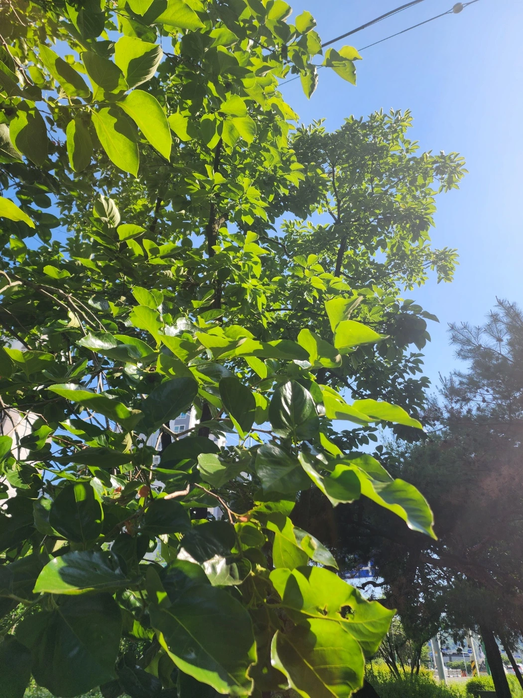 KakaoTalk_Photo_2025-06-05-09-55-31 001.jpeg