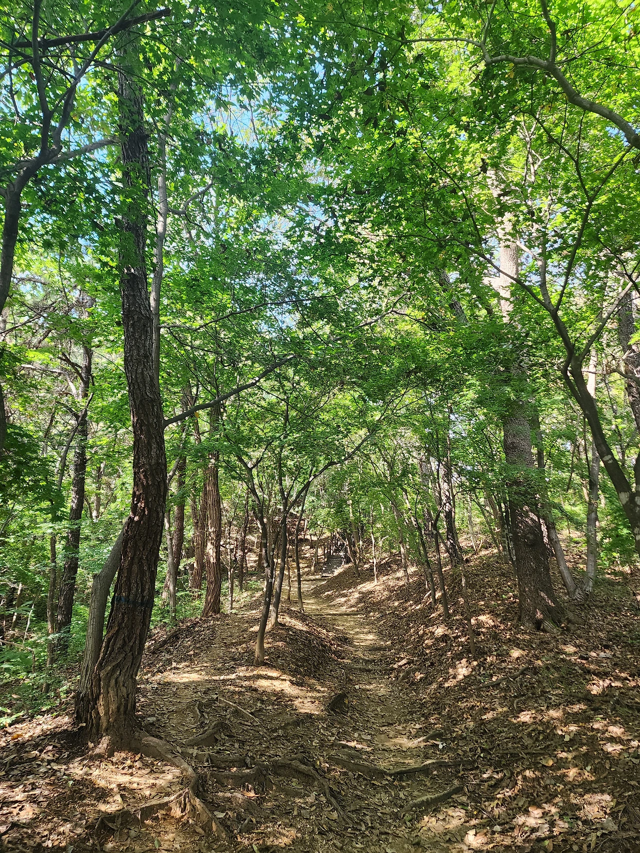 KakaoTalk_Photo_2025-10-20-18-36-56 001.jpeg