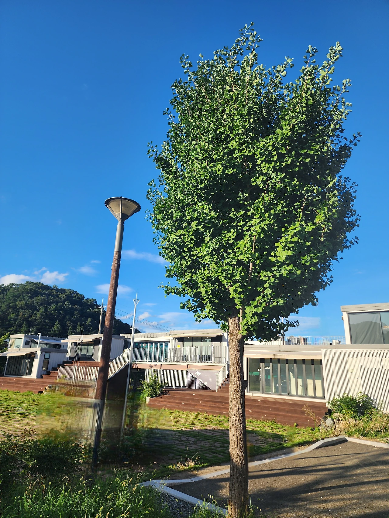 KakaoTalk_Photo_2025-08-15-15-11-06 001.jpeg