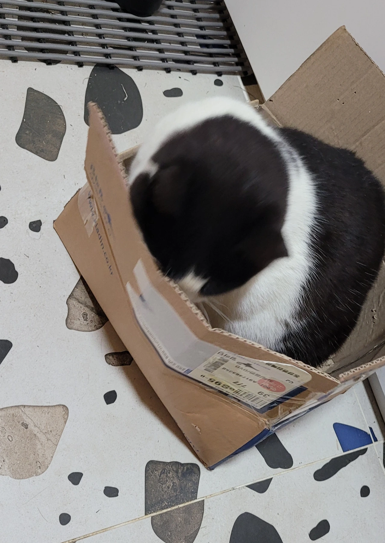 MI14-k3QnJkLUHjTHW31zL616og