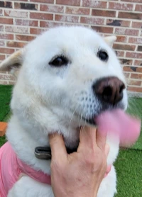 BLXRTKujXaxuG_f6DP1d5P6guPM