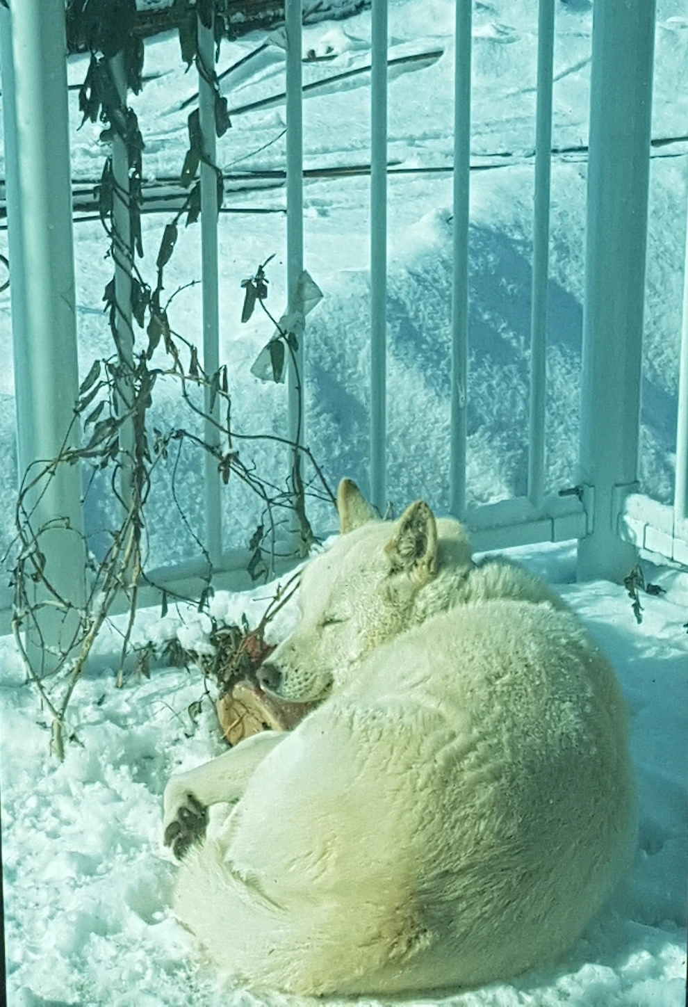 다운로드 (13).jfif