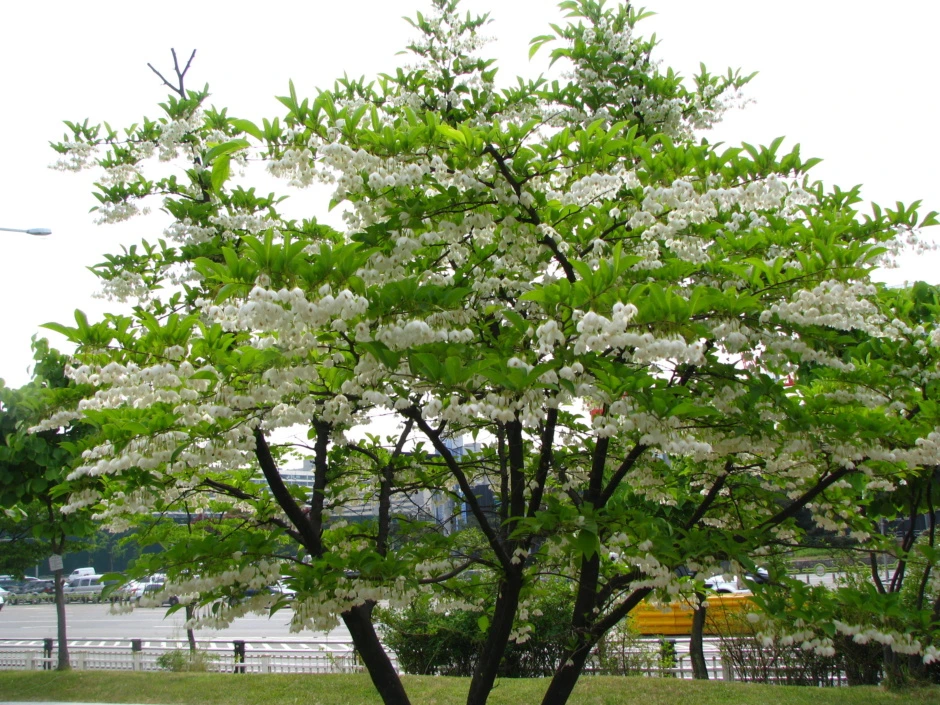 31_blog_2008_06_24_18_16_4860bb5777e03