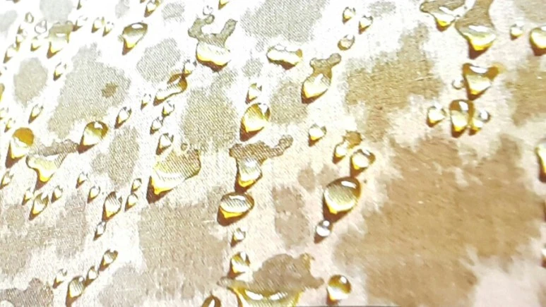 20161127_233933.jpg?type=w773