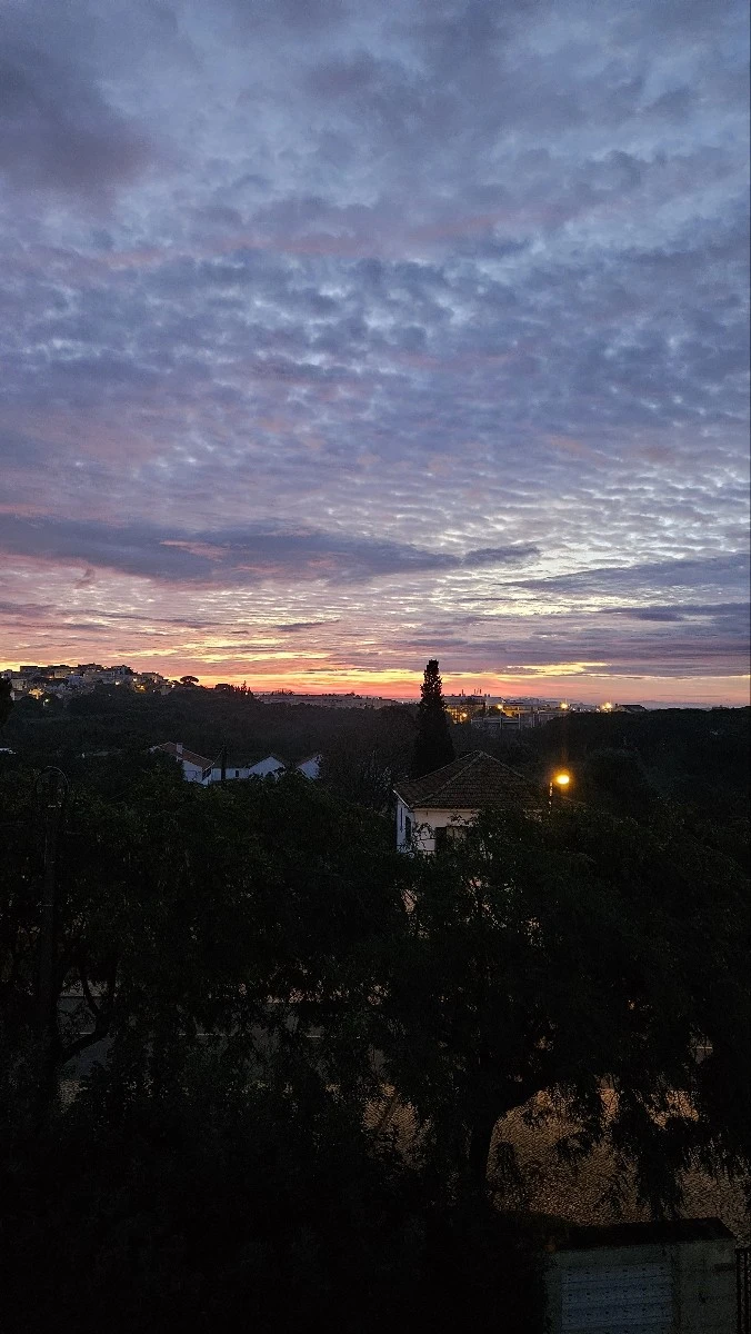 KakaoTalk_20250223_074210440.jpg?type=w773