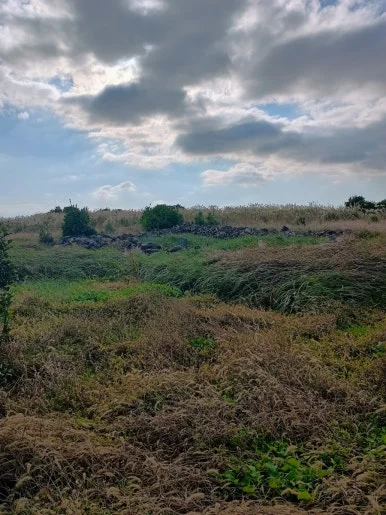 900%EF%BC%BFIMG%EF%BC%BF20241124%EF%BC%BF151533337%EF%BC%BFHDR%EF%BC%BFAE.jpg?type=w386