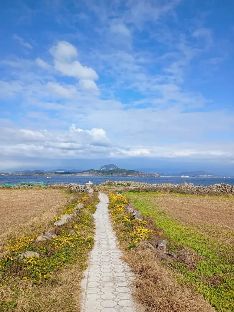 900%EF%BC%BFIMG%EF%BC%BF20241124%EF%BC%BF133039273%EF%BC%BFAE.jpg?type=w773