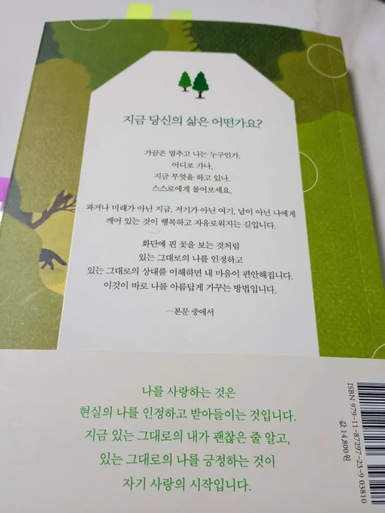 900%EF%BC%BFIMG%EF%BC%BF20241127%EF%BC%BF074432522%EF%BC%BFAE.jpg?type=w773