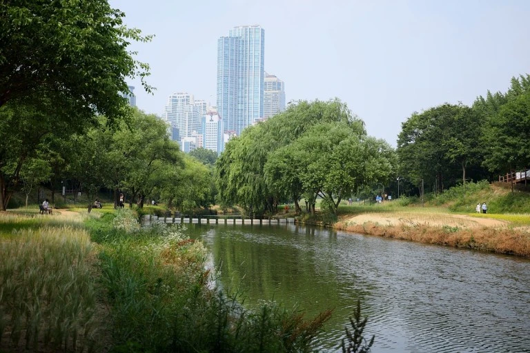 다운로드 (6).jfif