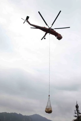 PYH2013092404920006400_P4.jpg?type=w275