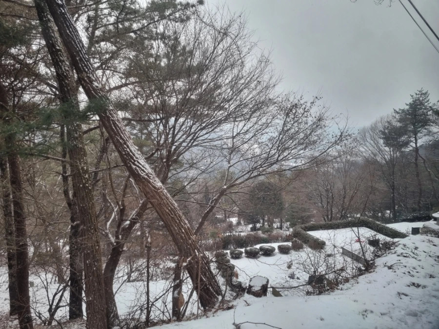 20240109%EF%BC%BF112954.jpg?type=w1