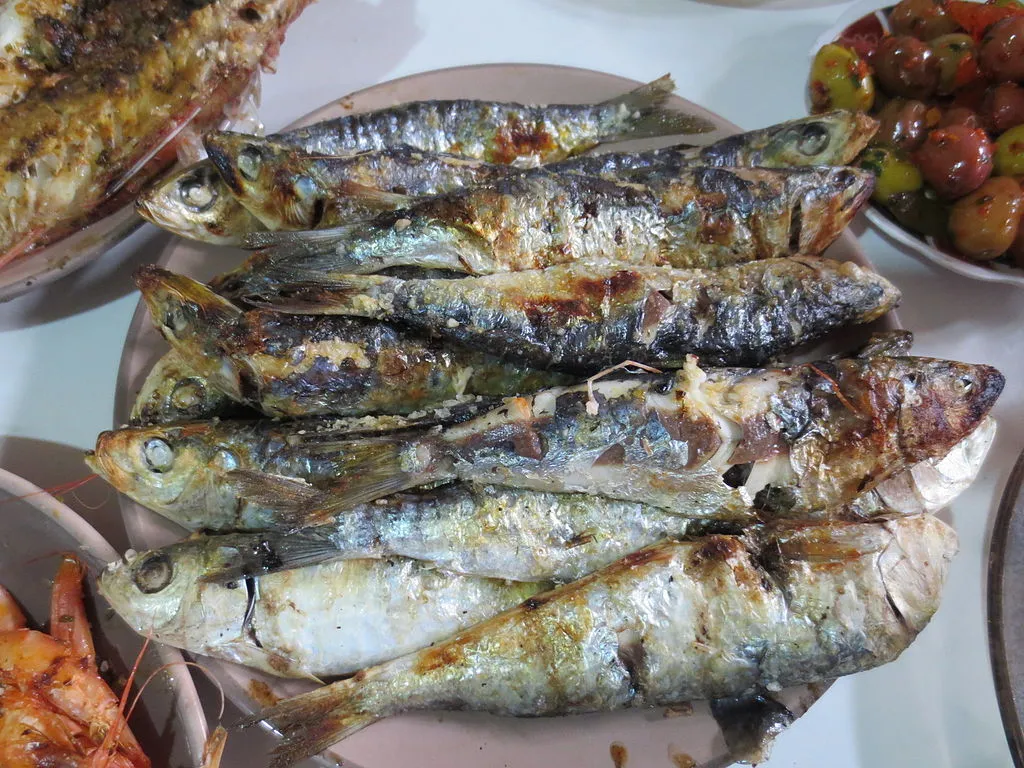 Sardine.jpeg