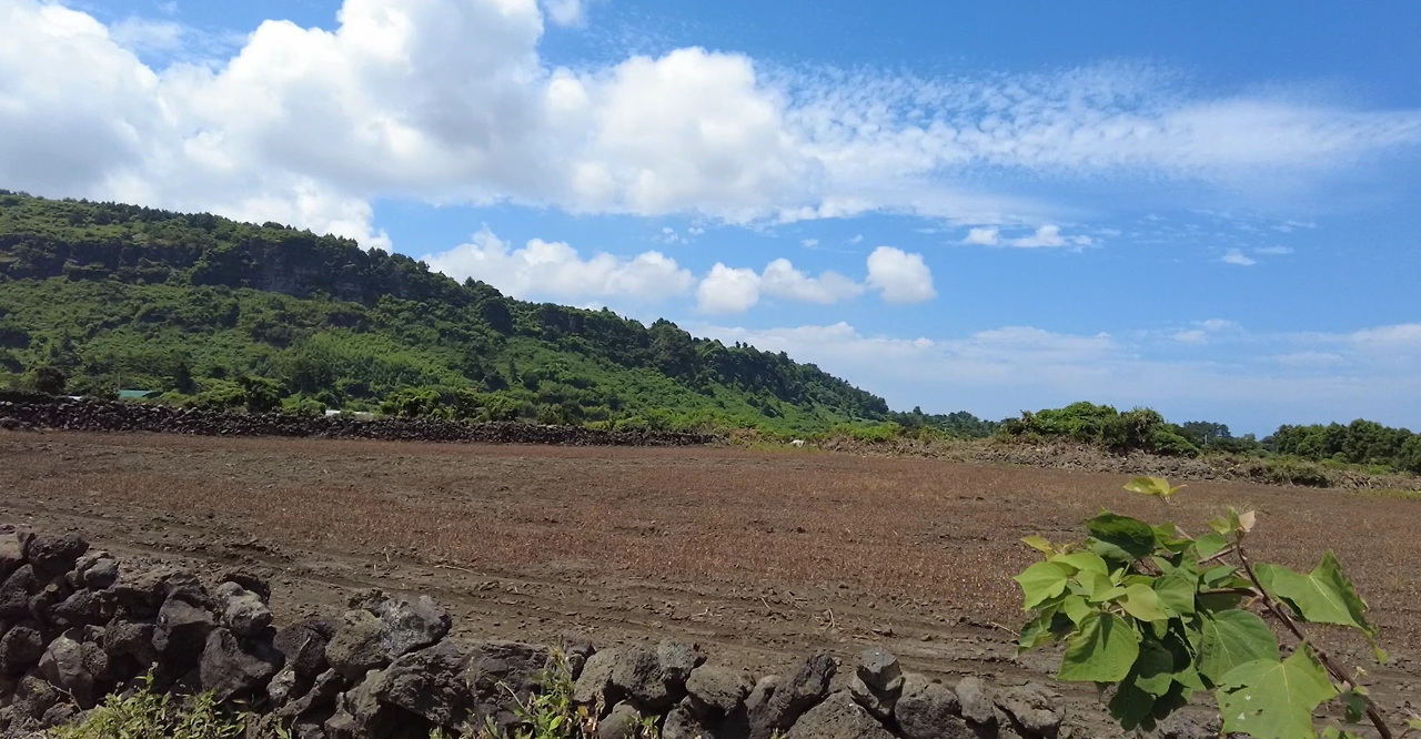 올레길 풍경 3.PNG