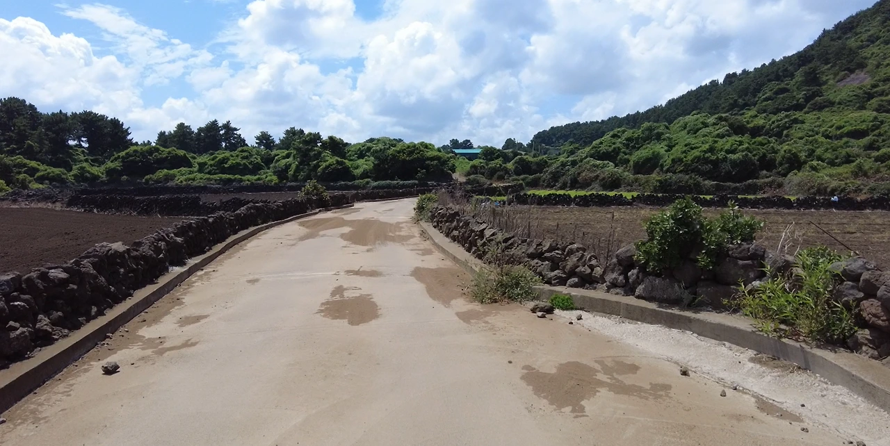 올레길 풍경 2.PNG