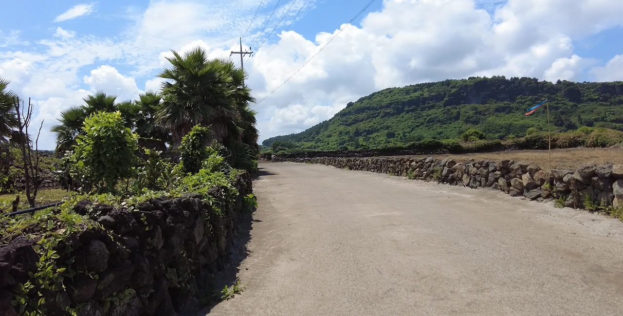 올레길 풍경.PNG