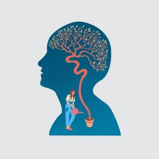 mosavSQfyF.jpeg?type=w556